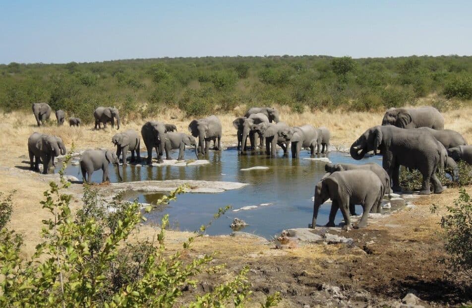 Halali Resort - Etosha National Park