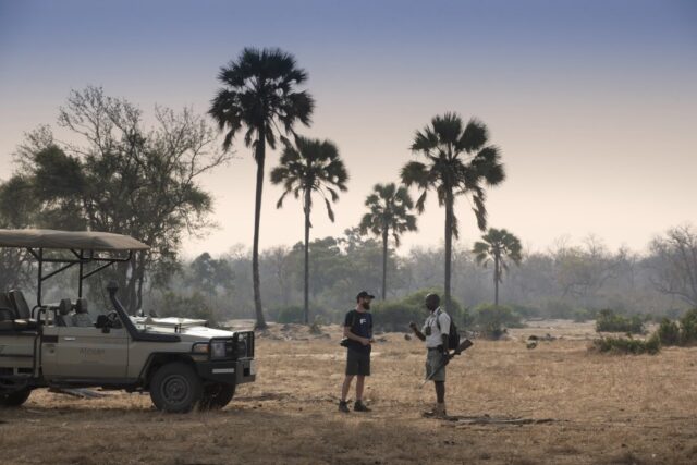 Wildlife, Actitvities & Sightings at Kanga Camp - Zimbabwe