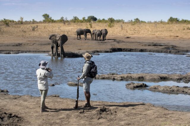 Somalisa Expeditions - Hwange National Park