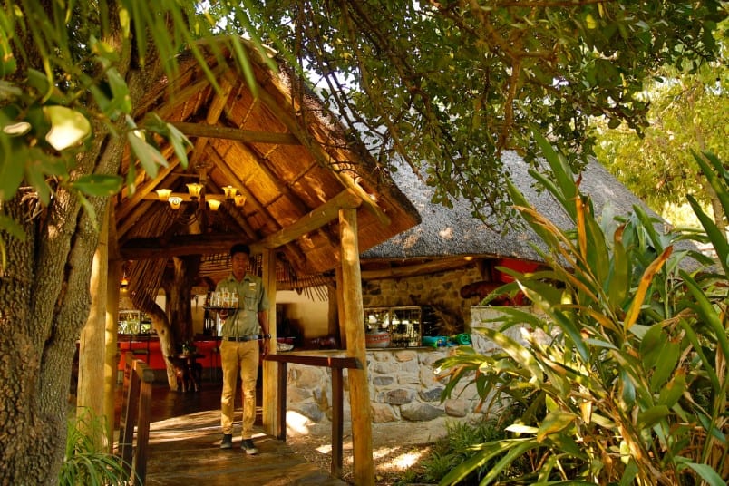 Thamalakane River Lodge - Maun