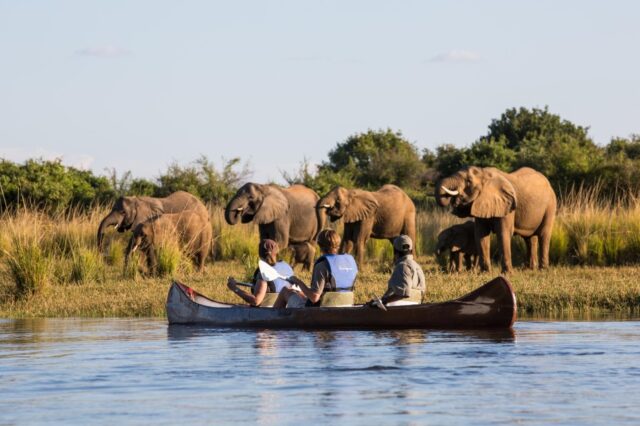 Time + Tide - Chongwe River Suites - Activities & Wildlife