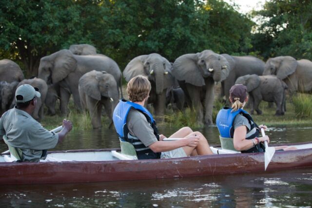 Time + Tide - Chongwe River Suites - Activities & Wildlife