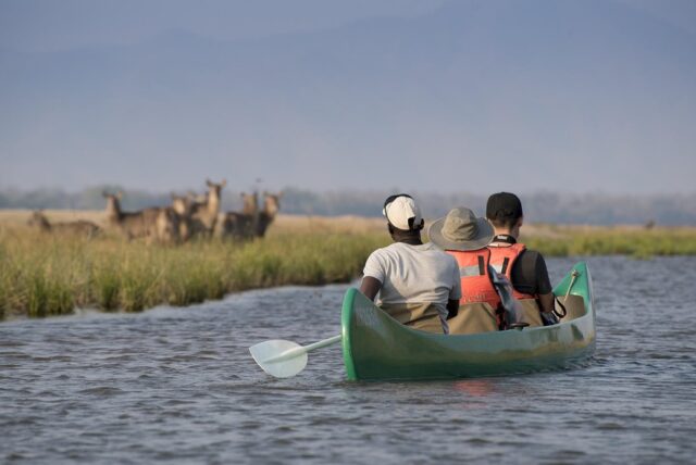 African Bush Camps Zambezi Expeditions Activities