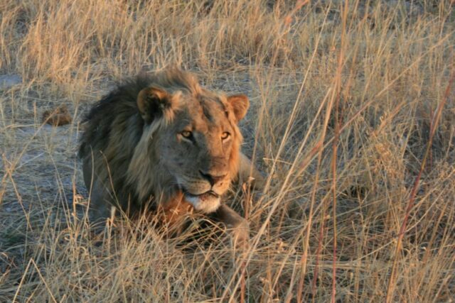 Hwange National Park - Zimbabwe