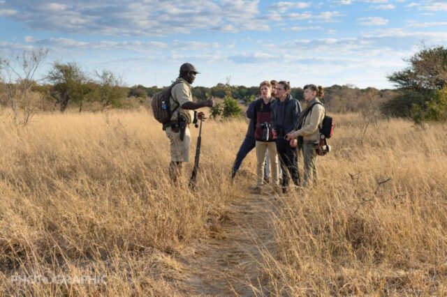 Activities and Wildlife - Mana Pools National Park