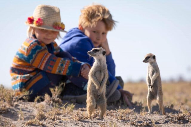 Walking with Meerkats at Camp Kalahari