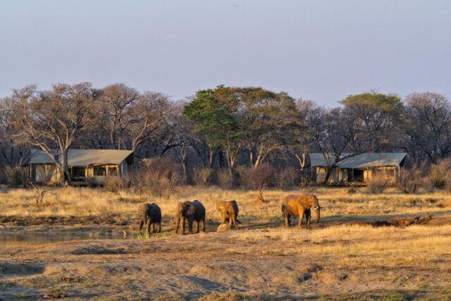 Verney's Camp - Hwange National Park - Zimbabwe