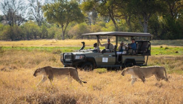 Game Drive - Activities - Deteema Springs Camp