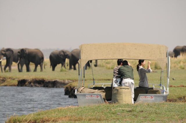 Ngoma Boat Cruise - Chobe National Park