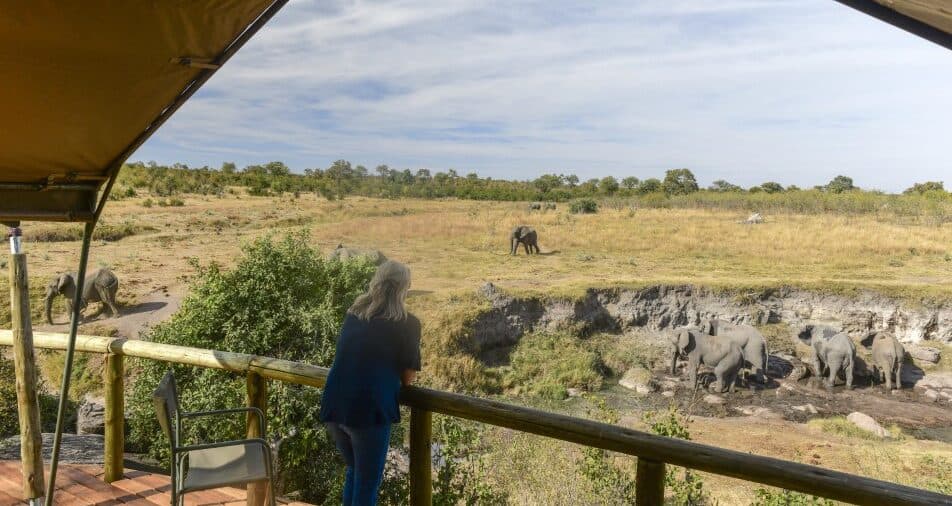 View from your tent at Deteema Springs Camp