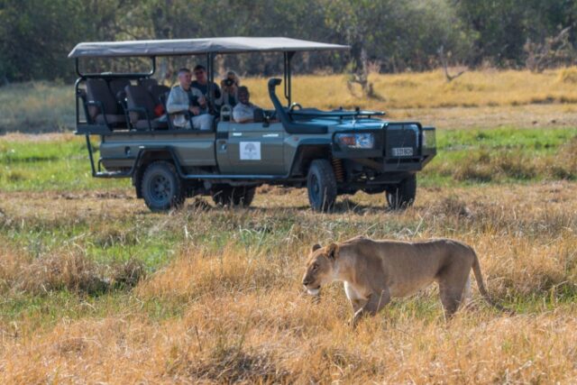 Game Drive - Hwange National Park - Zimbabwe