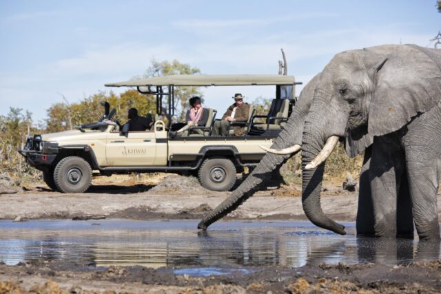 Game Drive / Activities at Sky Beds