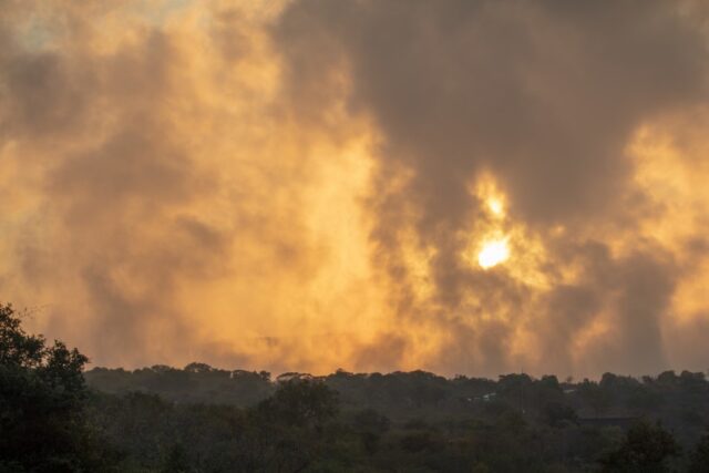 Wildlife sightings & Activities at Tongabezi Lodge