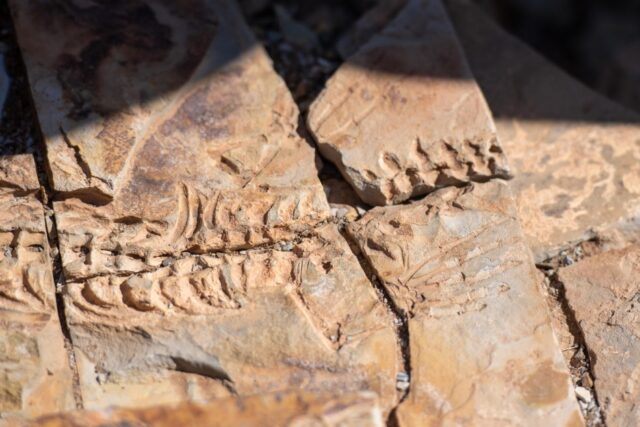 Mesosaurus Fossil Site & Quiver Tree Dolerite Park