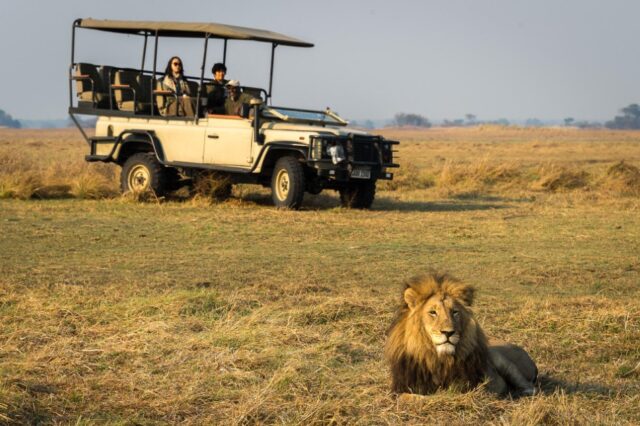 Kafue National Park - Game Drive - Shumba Camp