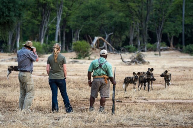 Ruckomechi Camp - Mana Pools National Park - Walking Safari