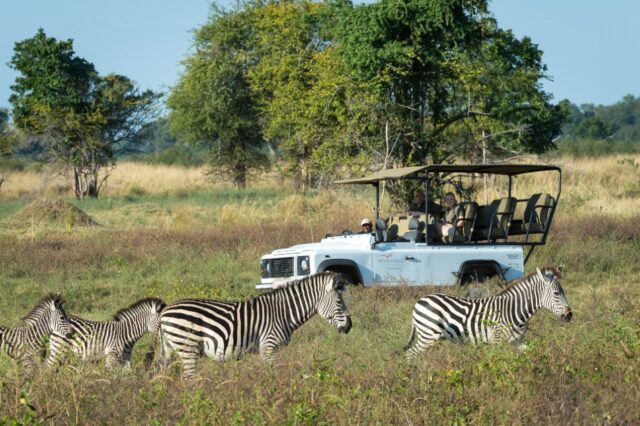 Ruckomechi Camp - Mana Pools National Park - Game Drive