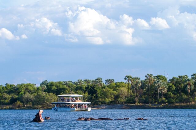 Zambezi River Cruise Sunset 