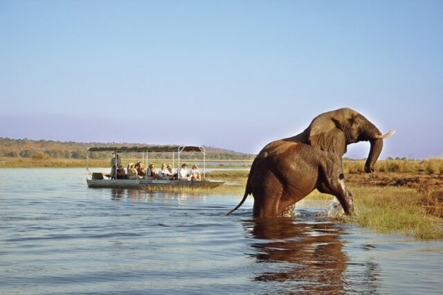 Activities at Tongabezi Lodge - The Bird House