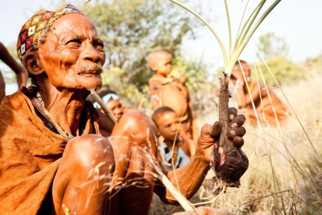 Bushmen experience at Jack's Camp