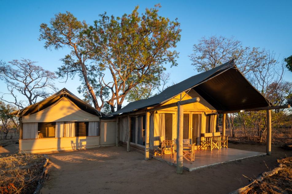 Davison's Camp - Linkwasha Concession - Hwange National Park