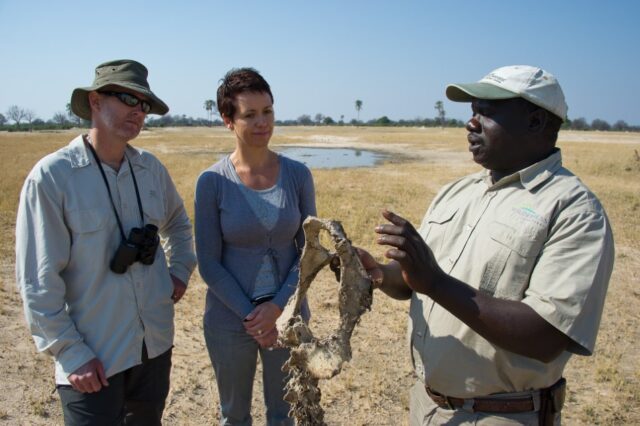 Safari Game Drive - Hwange National Park - Davison's Camp