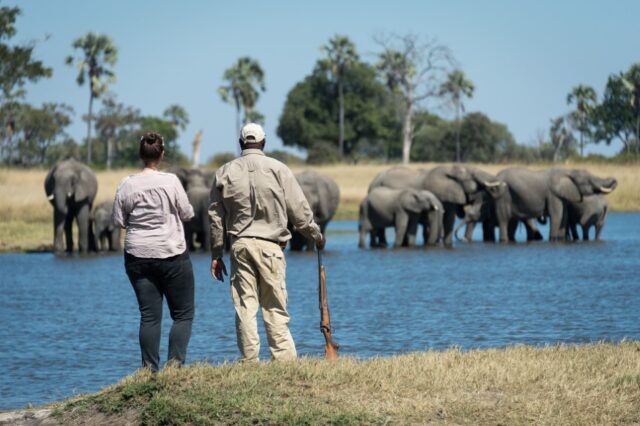 Safari Game Drive - Hwange National Park - Davison's Camp