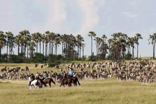 Horse riding at San Camp - Botswana