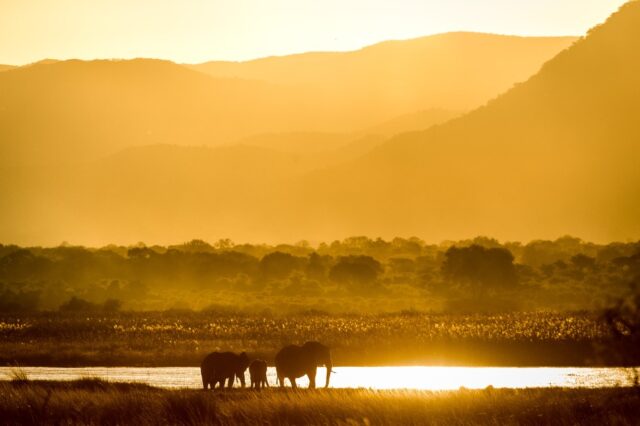 Ruckomechi Camp - Mana Pools National Park - Sunset