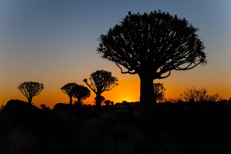 9-Day Adventure: Canyons, Dunes & Wildlife Safari with Camping & Glamping