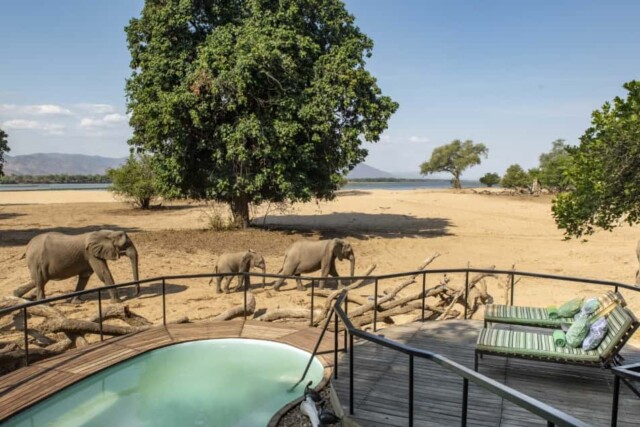 Hideaways Mana Pools Safari Lodge