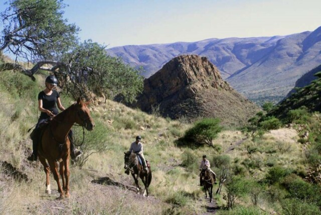 Horse Trail at Büllsport