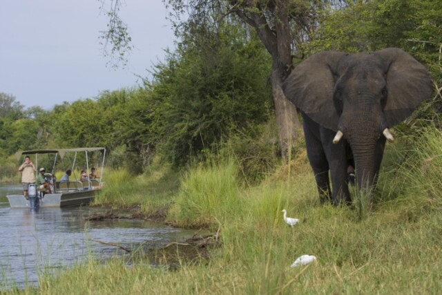 Baines' River Camp, Lower Zambezi, Zambia