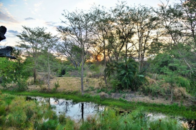 Pamuzinda Safari Lodge