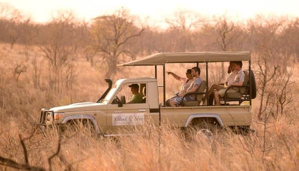 Safári - Wildtrack Safaris Eco Lodge