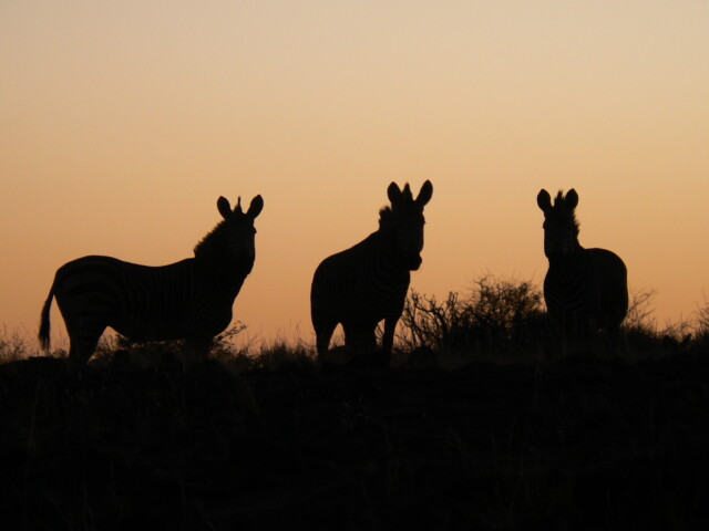 Etendeka Hiking Trail Experience